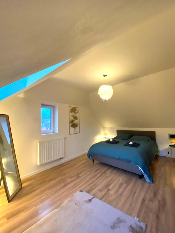 Duplex Moderne A 10 Minutes De Colmar Apartment Винценайм Екстериор снимка